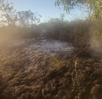 INCENDIEREA VEGETAȚIEI USCATE ÎN ORHEI
