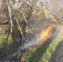 Inspectorii de Mediu din Soroca, hotărâți Împotriva Încălcărilor Ecologice în Zonă