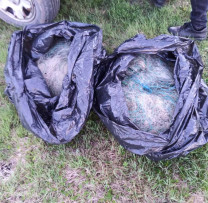 Acțiune împotriva Braconajului Piscicol pe Râul Ciuhur