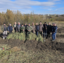 Efort Comunitar în Cantemir: Campanie de Împădurire pentru un Viitor Sustenabil