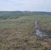 APLICAREA SANCȚIUNII PENTRU ARDEREA VEGETAȚIEI DE ORICE PROVENIENȚĂ
