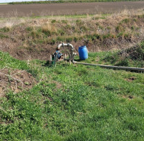 Inspecția pentru Protecția Mediului din UAT Găgăuzia Contracarează Prădătorii Ecologici