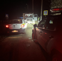 Scandalul Tăierii Ilicite de Lemn în Pădurile din Cahul: Funcționar al Întreprinderii Silvice Prins în Flagrant
