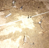 Inspectorii de mediu combat braconajul piscicol și cinegetic în nordul și centrul țării