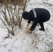 Inspectorii de mediu din Florești au depistat mai multe încălcări ale legislației de mediu