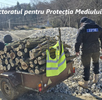 Retrospectivă săptămânală: Activități de control și protecție a mediului