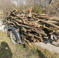 Inspectorii de mediu din Briceni combat ilegalitățile în transportul de masă lemnoasă