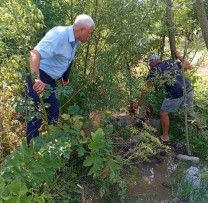 Încălcări e de mediu depistate în raionul Șoldănești