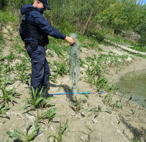 Razii comune pentru contracararea pescuitului ilegal: Inspectorii de mediu și Poliția de Frontieră, pe râul Prut