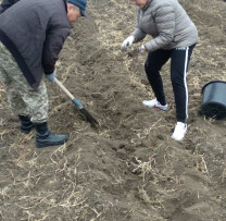 PLANTĂM VIITORUL LA TARACLIA