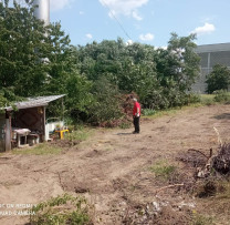 Razii antibraconaj ale inspectorilor de mediu din Criuleni dezvăluie defrișarea ilegală a 21 de arbori în zonele de protecție