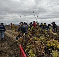 Criuleni Green Initiative Inspectorii de Mediu din Criuleni au Marcant Lansarea Programului Național de Împădurire