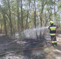 Echipați și uniți împotriva flăcărilor - Un incendiu devastator a fost stins în fondul forestier din apropierea municipiului Ungheni