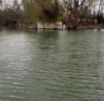 COMBATEREA BRACONAJULUI PISCICOL DE PE RÂUL PRUT ȘI RÂUL CIUGUR