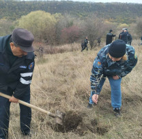 Inspecția pentru Protecția Mediului Soroca Se Alătură Inițiativei de Împădurire la Nistru