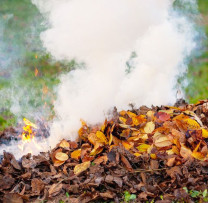 Arderea frunzelor și miriștilor – o practică păguboasă pentru natură și sănătate