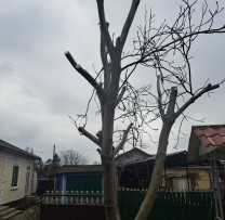 Raziile Inspectorilor de Mediu din Edineț Dezvăluie Încălcări ale Legii Mediului
