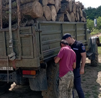Razii ale Inspectorilor de Mediu din Nisporeni: Amenzi pentru Transportul Ilegal de Masă Lemnoasă