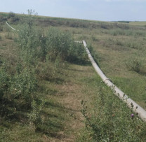 RAZII ALE INSPECTORILOR DE MEDIU DIN DROCHIA