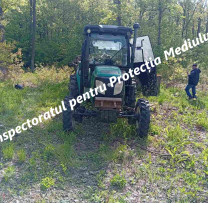 Transport ilegal de masă lemnoasă depistat de inspectorii de mediu din Călărași