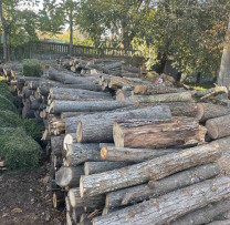 Inspecția pentru Protecția Mediului Chişinău intensifică controalele împotriva  comerțului ilegal de resurse naturale și produse lemnoase