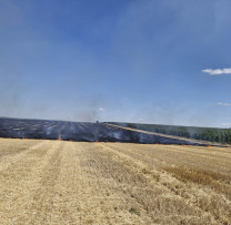 Incendierea miriștilor continuă în pofida avertismentelor. Inspectorii de mediu din Edineț au identificat un contravenient