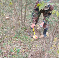 Inspectorii de mediu din Dondușeni combat tăierile ilegale de arbori