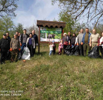 pădure  curată