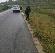 INSPECTORII DE MEDIU DIN BRICENI  IAU MĂSURI ÎMPOTRIVA RĂSPÂNDIRII AMBROZIEI
