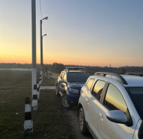 Inspectorii de mediu din Cahul au documentat un caz de tăiere ilegală a unui arbore în zona de frontieră