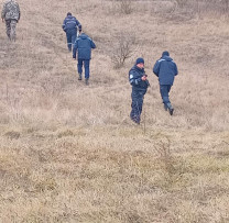 Raziile Conform Planului de Lucru au Revelat 3 Cazuri de Tăiere și Sustragere Ilegală a Masei Lemnoase - Inspectorii de Mediu DIN DONDUȘENI Acționează Prompt