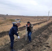 PLANTĂM PENTRU ȚARĂ, PLANTĂM PENTRU VIITOR