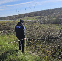 Tăieri ilegale de arbori în extravilanul localității Răuțel: doi cetățeni sancționați