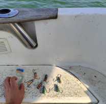CONTRACĂRAREA PESCUITULUI ILICIT LA LACUL DE ACUMULARE COSTEȘTI-STÂNCA
