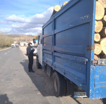 Acțiunea de Control a Inspecției pentru Protecția Mediului Ialoveni Dezvăluie Nereguli în Transportul Masei Lemnoase