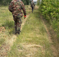 Tăiere ilegală de păduri în nordul țării : Inspectorii de mediu din Dondușeni luptă împotriva infractorilor ecologici