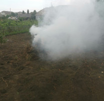 Inspectorii de Mediu din Briceni Descoperă Arderea Ilegală a Biodeșeurilor în Grimăncăuți