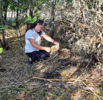 Masacrul Arborilor din Alexeevca: Tăiere Ilegală a 15 Arbori în Florești