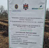 Inspectorii de mediu din întreaga țară contribuie la o Moldovă mai verde în cadrul Campaniei #GenerațiaPădurii – Primăvara 2026