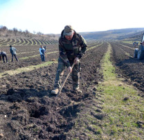 Programul Național de Extindere și Reabilitare a Pădurilor la Glodeni.