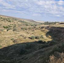 Un prejudiciu de peste 19 milioane de lei