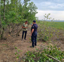 CAZURI DE TĂIERE ȘI SUSTRAGERE ILEGALĂ A MASEI LEMNOASE ÎN RAIONUL DONDUȘENI
