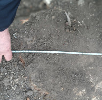 Razii ale inspectorilor de mediu din Soroca: tăieri ilegale de arbori și braconaj sancționate