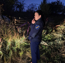 Tăierea ilegală de arbori și cazuri de depozitare neautorizată a deșeurilor