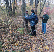 Inspectorii de mediu din Briceni luptă împotriva tăierilor ilegale de arbori din Fondul Forestier de Stat