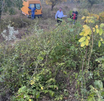 Inspectorii de mediu din Sîngerei prind în flagrant persoanele responsabile de tăierea ilegală de arbori