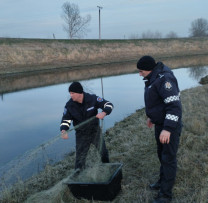 Inspectorii de Mediu din Ștefan Vodă Intensifică Acțiunile împotriva Încălcărilor de Mediu