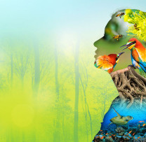 Ziua Mondială a Biodiversității : Angajamente și Inițiative pentru Conservarea Naturii