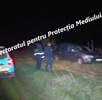 Tăieri ilegale depistate la Rîșcani: intervenție nocturnă a inspectorilor de mediu și poliției