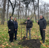 Acțiune ecologică la Bălți: inspectorii de mediu și întreprinderea municipală au plantat arbori de tei în parcul orășenesc